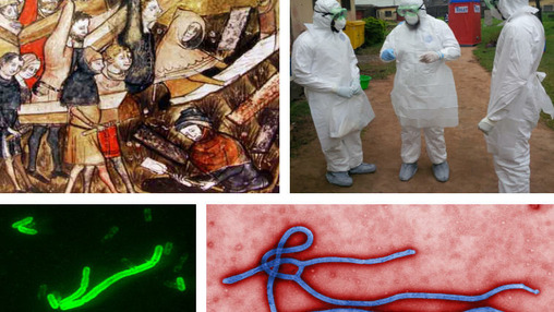 Pest und Ebola - ein kulturgeschichtlicher Vergleich 
