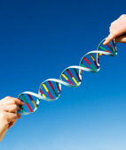 Genomchirurgie - Das Ende aller Probleme? | 11. Februar 2015, 18:30 Uhr 