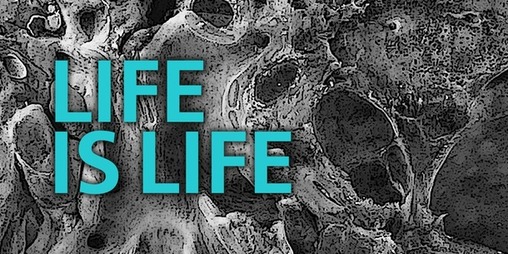 Salon Sophie Charlotte 2021: „Life is Life“ | Ein Hörparcours